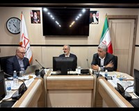 بازدید مدیرعامل بانک مسکن از گروه مالی  و شرکت های تابعه مستقر در ساختمان گروه مالی بانک مسکن/گزارش تصویری